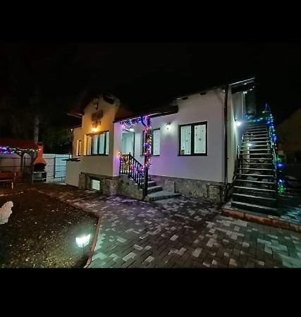 Hotel Casa Andy Buşteni Zewnętrze zdjęcie