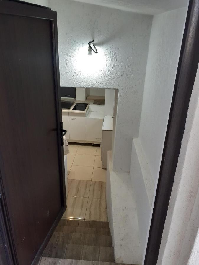 Hotel Casa Andy Buşteni Zewnętrze zdjęcie