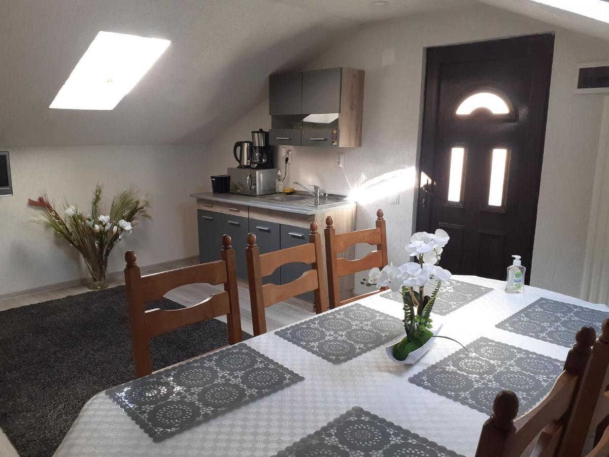 Hotel Casa Andy Buşteni Zewnętrze zdjęcie
