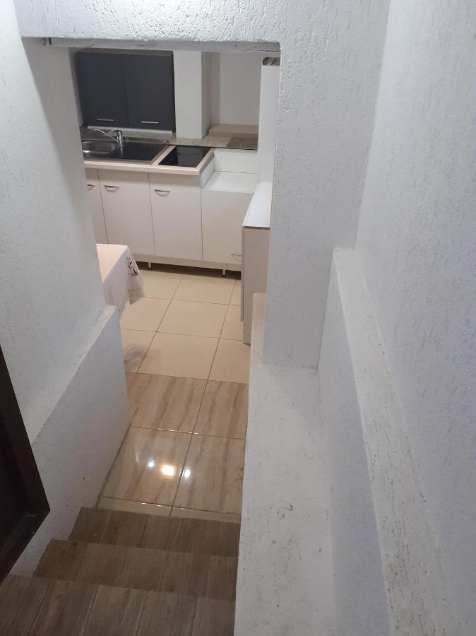 Hotel Casa Andy Buşteni Zewnętrze zdjęcie